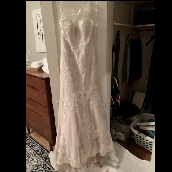 Stella York Champagne Blush Lace Wedding Dress - Picture 1 of 6